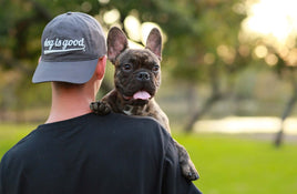 Gifts for Dog Lovers