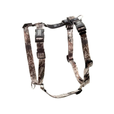 Blue9 Harness