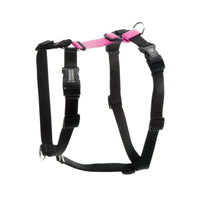 Blue9 Harness