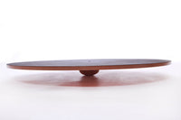 Dog Training Balance Wobble Board By FitPaws
