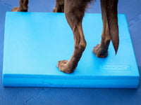 Dog Training Balance Pad by Fit Paws