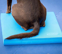 Dog Training Balance Pad by Fit Paws