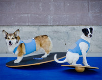 Dog Training Balance Wobble Board By FitPaws