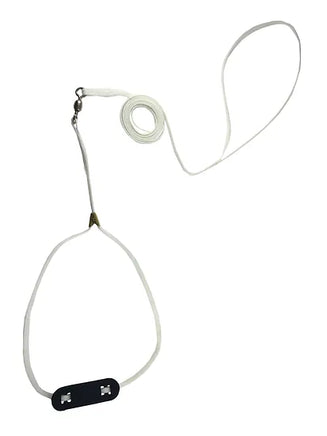 Resco Spinner Show dog Lead leash