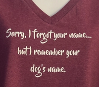 Tee-Shirt, Women's, Short Sleeve, V neck, Burgundy, 'Sorry I Forgot Your Name...'