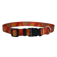 Designer Dog Collars