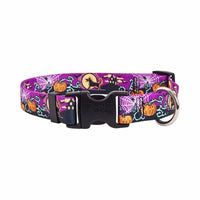 Designer Dog Collars