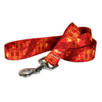 Designer Dog Leash / Lead, 1.00 inch by 60 inches long