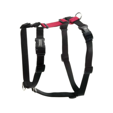 Blue9 Balance Harness