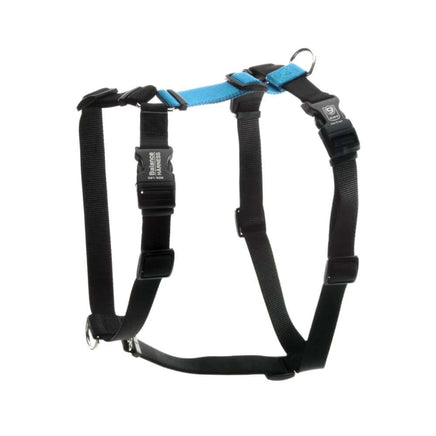 Blue9 Balance Harness