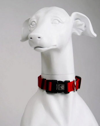 Secure Lightweight Dog Collar by Blue9