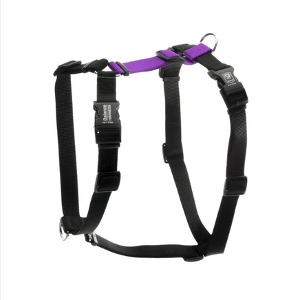 Blue9 Balance Harness