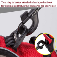 Padded reflective dog harness