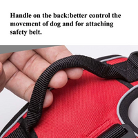 Padded reflective dog harness