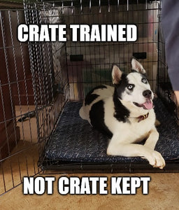 Episode Seven, To Crate or Not to Crate?
