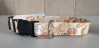 Designer Dog Collars