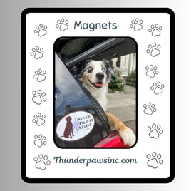 Magnets, Inspired by Dog
