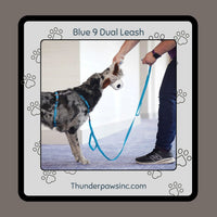 Reflective Dual Control Dog Leash by Blue9 Pet Medium/Small