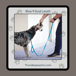 Reflective Dual Control Dog Leash by Blue9 Pet Medium/Small