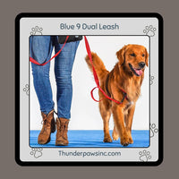 Reflective Dual Control Dog Leash by Blue9 Pet Medium/Large