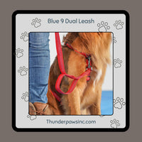 Reflective Dual Control Dog Leash by Blue9 Pet Medium/Large