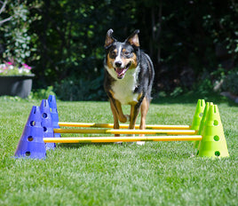 Dog Training Cavaletti Canine Gym Set by Fit Paws