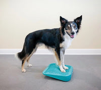 Dog Training Balance Ramp by Fit Paws