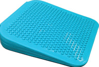 Dog Training Balance Ramp by Fit Paws