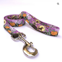 Designer Dog Leash, Pumpkins, Bats, Spider webs on purple background