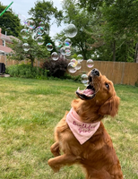 Dog Safe Peanut Butter Flavored Bubbles
