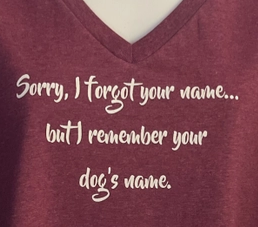 Tee-Shirt, Women's, Short Sleeve, V neck, Burgundy, 'Sorry I Forgot Your Name...'
