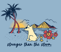 Unisex Tee, Stronger Than The Storm