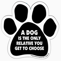 Magnets, Inspired by Dog