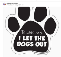 Magnets, Inspired by Dog