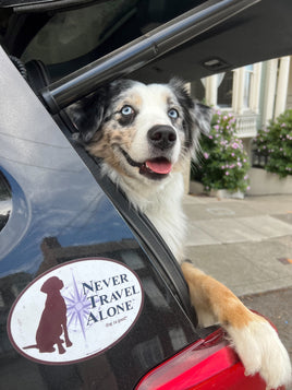 Dog looking out car widows with a magnet on car