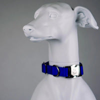 Secure Pro Dog Collar by Blue 9 Pet Products