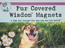 Fur Covered Wisdom Magnets