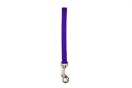 Tab Leash by Blue 9 Pet for Dogs