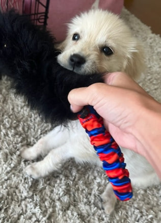 Pocket Magnet Tug Toy for dogs