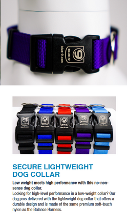 Secure Lightweight Dog Collar by Blue9