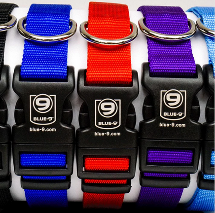 Secure Lightweight Dog Collar by Blue9