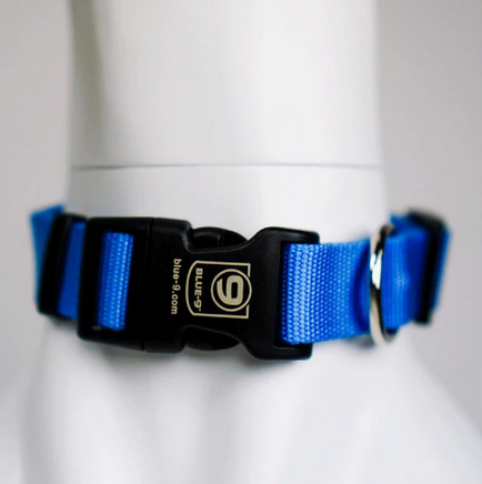 Secure Lightweight Dog Collar by Blue9