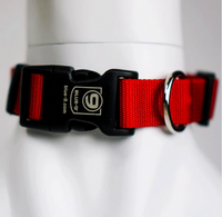 Secure Lightweight Dog Collar by Blue9